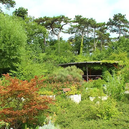 Die Residenz Bad Voslau * Bad Voeslau